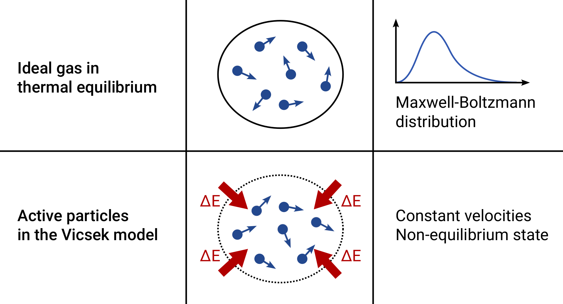 Systems of active particles convert energy from their environment into directed motion – a key difference from ideal gases in thermal equilibrium, where particles move randomly with speeds determined by their temperature, but without any directed motion.