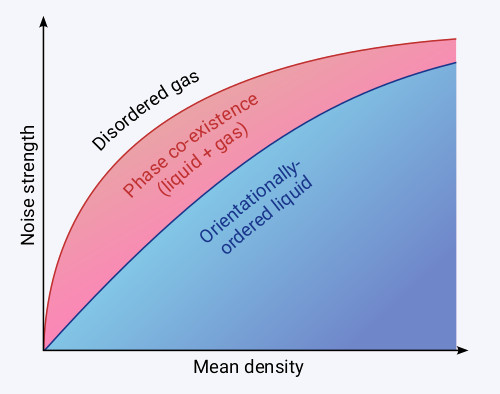 Image of a diagram with mean density on the x-axis and noise strength on the y-axis. Visible are three regions: orientationally-ordered liquid (bottom right), phase co-existence (middle), disordered gas (top left).