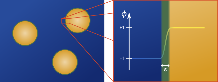 Sketch showing spherical oil droplets in water, with a close-up on their boundary. The boundary thickness is labeled with epsilon. A phase parameter phi is -1 for water and +1 for oil.