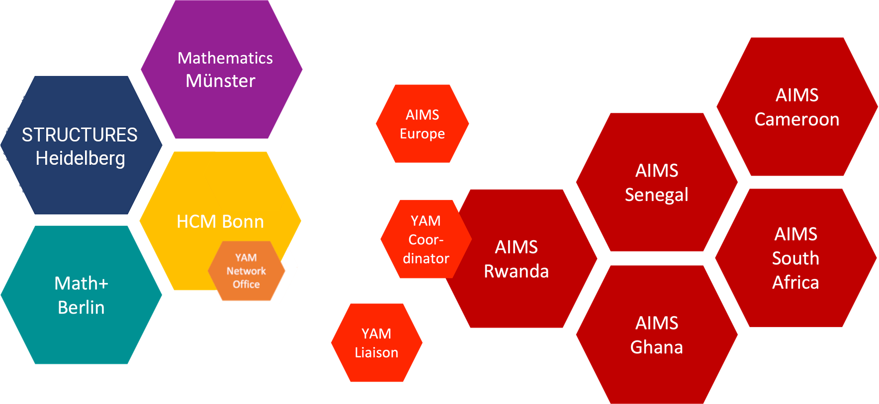 Diagram of the YAM network